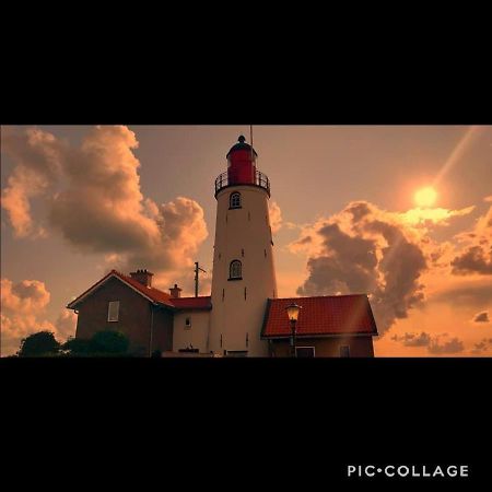 Gastenverblijf De Paddestoel 위르크 외부 사진